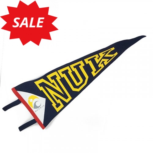 【絕版出清、售完不補】NUK校園三角旗