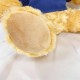【團購商品,10隻起做】NUK微笑小熊_藍 【團購商品,10隻起做】NUK微笑小熊_藍