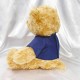 【團購商品,10隻起做】NUK微笑小熊_藍 【團購商品,10隻起做】NUK微笑小熊_藍