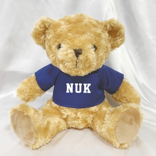 【團購商品，10隻起做】NUK微笑小熊_藍